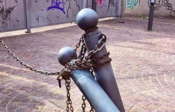 La vida es literatura, taller literario